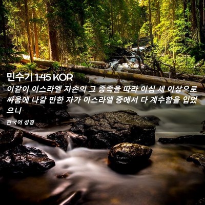 Picture 02 - 민수기 1:45 KOR - 이같이 이스라엘 자손의 그 종족을 - Bible Verse Picture