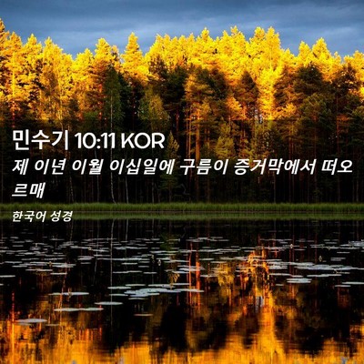 Picture 02 - 민수기 10:11 KOR - 제 이년 이월 이십일에 구름이 - Bible Verse Picture