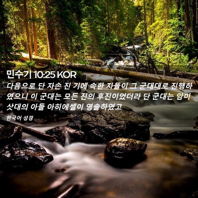 Picture 02 - 민수기 10:25 KOR - 다음으로 단 자손 진 기에 속한 - Bible Verse Picture