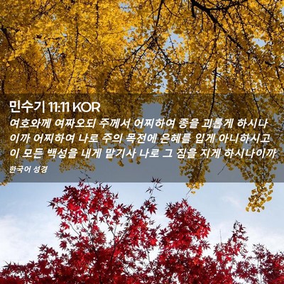 Picture 02 - 민수기 11:11 KOR - 여호와께 여짜오되 주께서 어찌하여 - Bible Verse Picture