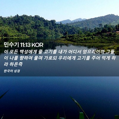 Picture 02 - 민수기 11:13 KOR - 이 모든 백성에게 줄 고기를 내가 - Bible Verse Picture