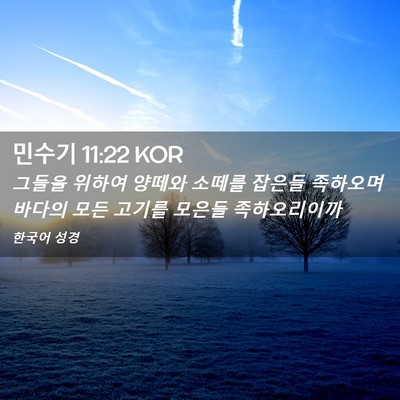 Picture 02 - 민수기 11:22 KOR - 그들을 위하여 양떼와 소떼를 잡은들 - Bible Verse Picture