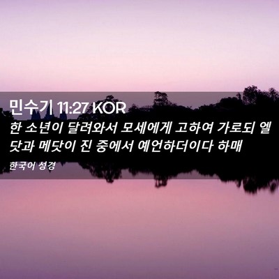 Picture 02 - 민수기 11:27 KOR - 한 소년이 달려와서 모세에게 고하여 - Bible Verse Picture