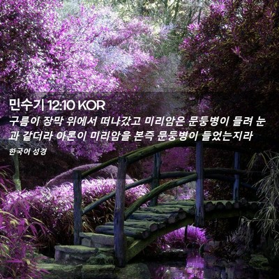 Picture 02 - 민수기 12:10 KOR - 구름이 장막 위에서 떠나갔고 - Bible Verse Picture