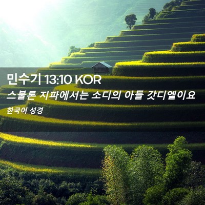 Picture 02 - 민수기 13:10 KOR - 스불론 지파에서는 소디의 아들 - Bible Verse Picture