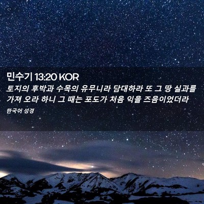 Picture 02 - 민수기 13:20 KOR - 토지의 후박과 수목의 유무니라 - Bible Verse Picture