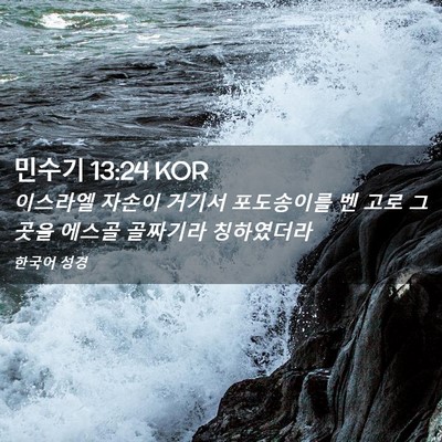 Picture 02 - 민수기 13:24 KOR - 이스라엘 자손이 거기서 포도송이를 - Bible Verse Picture