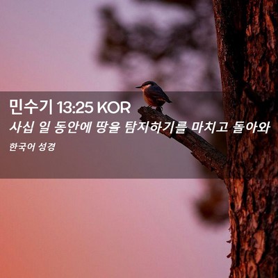 Picture 02 - 민수기 13:25 KOR - 사십 일 동안에 땅을 탐지하기를 - Bible Verse Picture