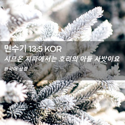 Picture 02 - 민수기 13:5 KOR - 시므온 지파에서는 호리의 아들 - Bible Verse Picture