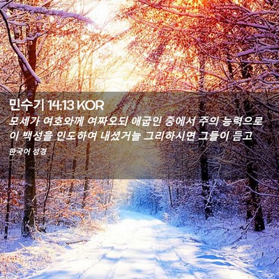 Picture 02 - 민수기 14:13 KOR - 모세가 여호와께 여짜오되 애굽인 - Bible Verse Picture
