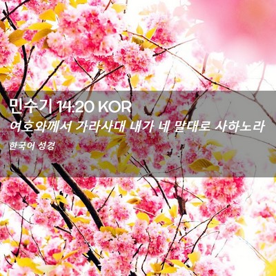 Picture 02 - 민수기 14:20 KOR - 여호와께서 가라사대 내가 네 말대로 - Bible Verse Picture