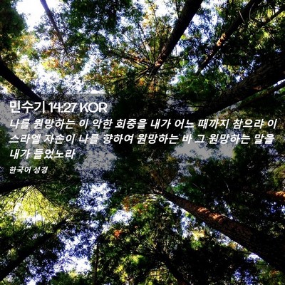 Picture 02 - 민수기 14:27 KOR - 나를 원망하는 이 악한 회중을 내가 - Bible Verse Picture