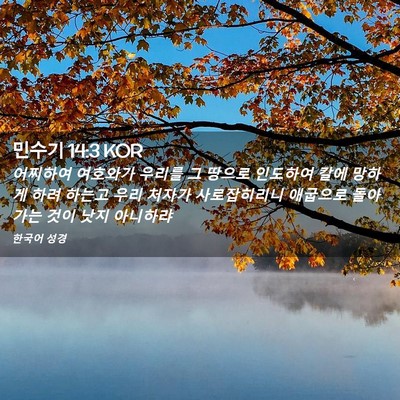 Picture 02 - 민수기 14:3 KOR - 어찌하여 여호와가 우리를 그 땅으로 - Bible Verse Picture