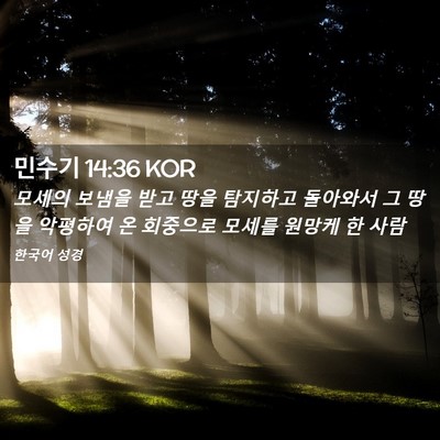 Picture 02 - 민수기 14:36 KOR - 모세의 보냄을 받고 땅을 탐지하고 - Bible Verse Picture