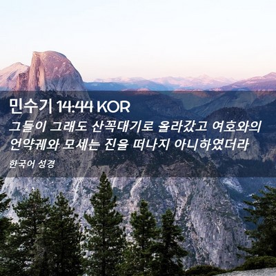 Picture 02 - 민수기 14:44 KOR - 그들이 그래도 산꼭대기로 올라갔고 - Bible Verse Picture