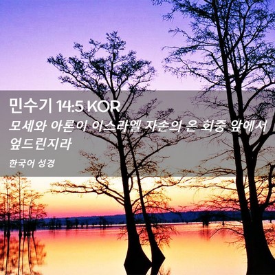 Picture 02 - 민수기 14:5 KOR - 모세와 아론이 이스라엘 자손의 온 - Bible Verse Picture