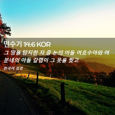 Picture 02 - 민수기 14:6 KOR - 그 땅을 탐지한 자 중 눈의 아들 - Bible Verse Picture