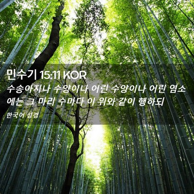 Picture 02 - 민수기 15:11 KOR - 수송아지나 수양이나 어린 수양이나 - Bible Verse Picture