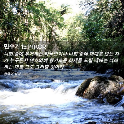 Picture 02 - 민수기 15:14 KOR - 너희 중에 우거하는 타국인이나 너희 - Bible Verse Picture
