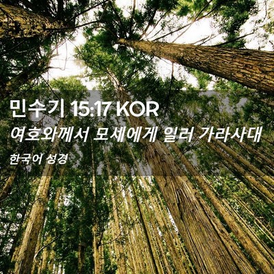 Picture 02 - 민수기 15:17 KOR - 여호와께서 모세에게 일러 - Bible Verse Picture