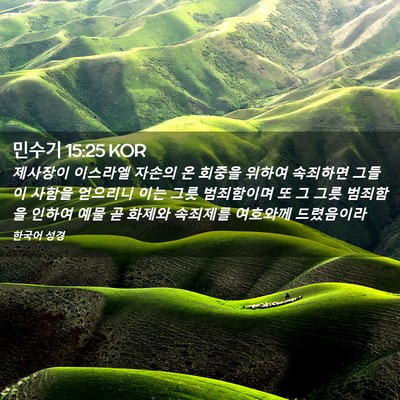 Picture 02 - 민수기 15:25 KOR - 제사장이 이스라엘 자손의 온 회중을 - Bible Verse Picture