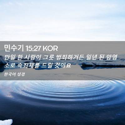 Picture 02 - 민수기 15:27 KOR - 만일 한 사람이 그릇 범죄하거든 - Bible Verse Picture