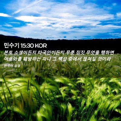 Picture 02 - 민수기 15:30 KOR - 본토 소생이든지 타국인이든지 무릇 - Bible Verse Picture