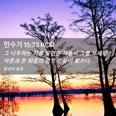 Picture 02 - 민수기 15:33 KOR - 그 나무하는 자를 발견한 자들이 - Bible Verse Picture