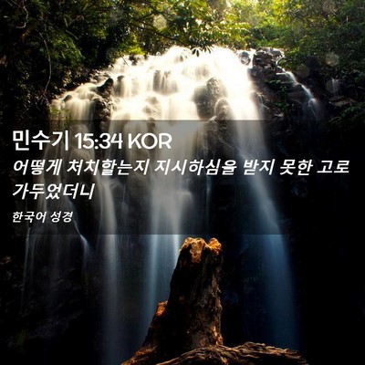 Picture 02 - 민수기 15:34 KOR - 어떻게 처치할는지 지시하심을 받지 - Bible Verse Picture
