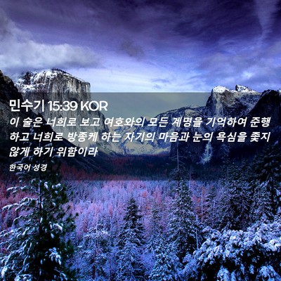 Picture 02 - 민수기 15:39 KOR - 이 술은 너희로 보고 여호와의 모든 - Bible Verse Picture