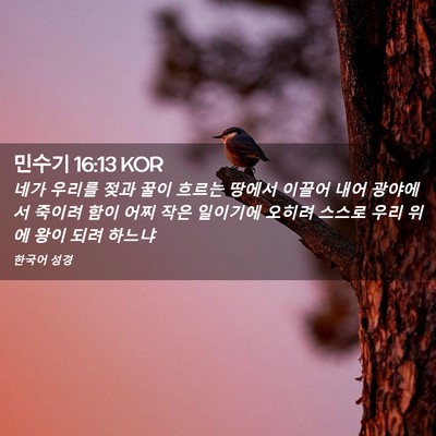 Picture 02 - 민수기 16:13 KOR - 네가 우리를 젖과 꿀이 흐르는 - Bible Verse Picture