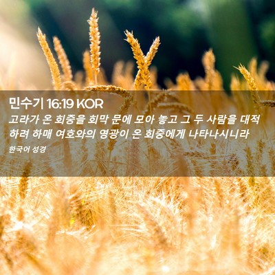 Picture 02 - 민수기 16:19 KOR - 고라가 온 회중을 회막 문에 모아 - Bible Verse Picture