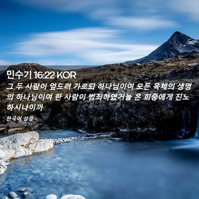 Picture 02 - 민수기 16:22 KOR - 그 두 사람이 엎드려 가로되 - Bible Verse Picture