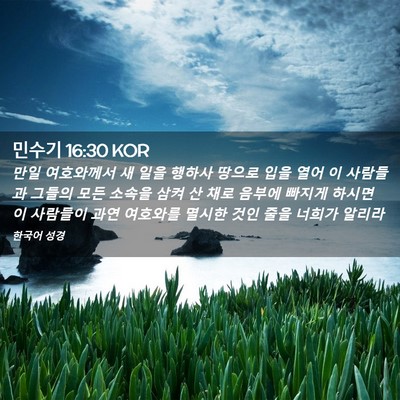 Picture 02 - 민수기 16:30 KOR - 만일 여호와께서 새 일을 행하사 - Bible Verse Picture