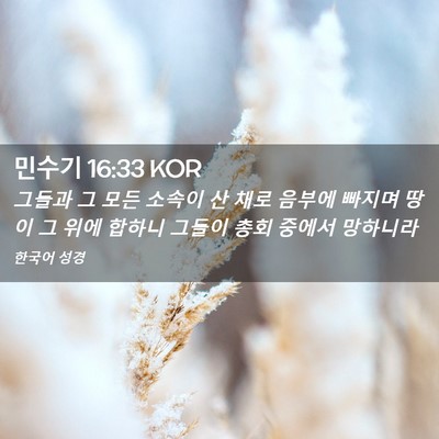 Picture 02 - 민수기 16:33 KOR - 그들과 그 모든 소속이 산 채로 - Bible Verse Picture