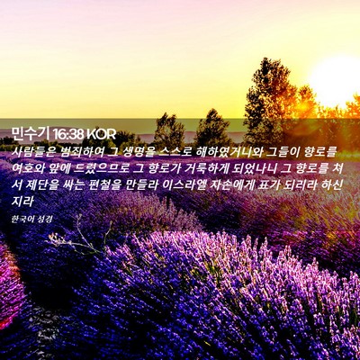 Picture 02 - 민수기 16:38 KOR - 사람들은 범죄하여 그 생명을 스스로 - Bible Verse Picture