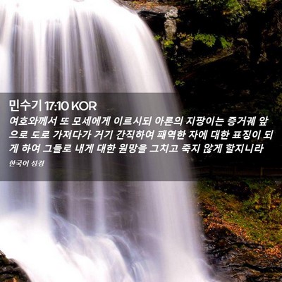 Picture 02 - 민수기 17:10 KOR - 여호와께서 또 모세에게 이르시되 - Bible Verse Picture