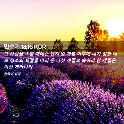 Picture 02 - 민수기 18:16 KOR - 그 사람을 속할 때에는 난지 일 개월 - Bible Verse Picture
