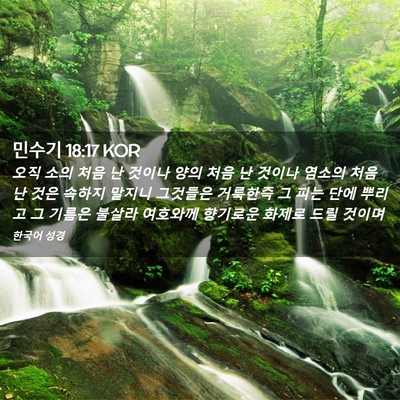 Picture 02 - 민수기 18:17 KOR - 오직 소의 처음 난 것이나 양의 처음 - Bible Verse Picture