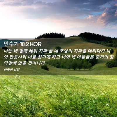 Picture 02 - 민수기 18:2 KOR - 너는 네 형제 레위 지파 곧 네 조상의 - Bible Verse Picture