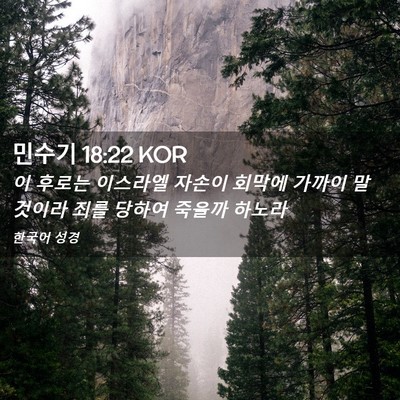 Picture 02 - 민수기 18:22 KOR - 이 후로는 이스라엘 자손이 회막에 - Bible Verse Picture