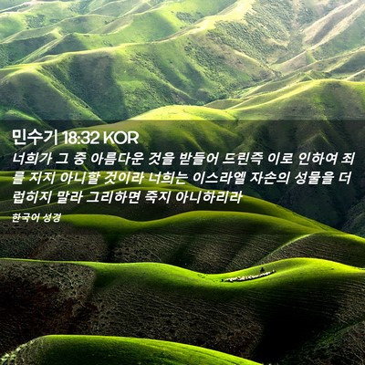 Picture 02 - 민수기 18:32 KOR - 너희가 그 중 아름다운 것을 받들어 - Bible Verse Picture