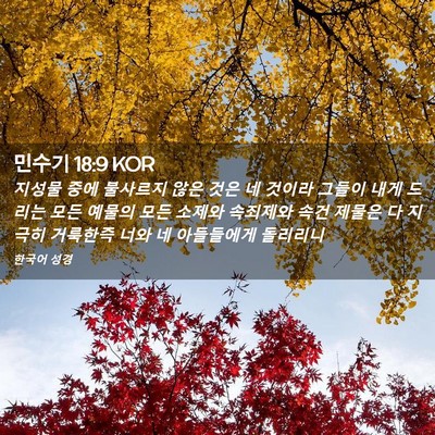 Picture 02 - 민수기 18:9 KOR - 지성물 중에 불사르지 않은 것은 네 - Bible Verse Picture