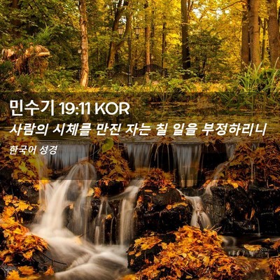 Picture 02 - 민수기 19:11 KOR - 사람의 시체를 만진 자는 칠 일을 - Bible Verse Picture