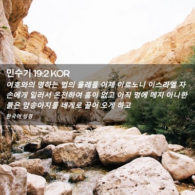 Picture 02 - 민수기 19:2 KOR - 여호와의 명하는 법의 율례를 이제 - Bible Verse Picture