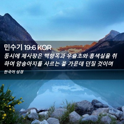 Picture 02 - 민수기 19:6 KOR - 동시에 제사장은 백향목과 우슬초와 - Bible Verse Picture