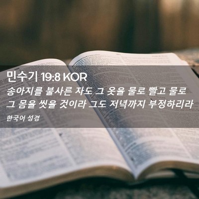 Picture 02 - 민수기 19:8 KOR - 송아지를 불사른 자도 그 옷을 물로 - Bible Verse Picture