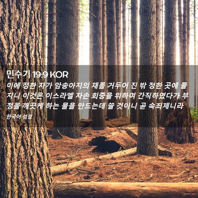 Picture 02 - 민수기 19:9 KOR - 이에 정한 자가 암송아지의 재를 - Bible Verse Picture