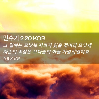 Picture 02 - 민수기 2:20 KOR - 그 곁에는 므낫세 지파가 있을 - Bible Verse Picture