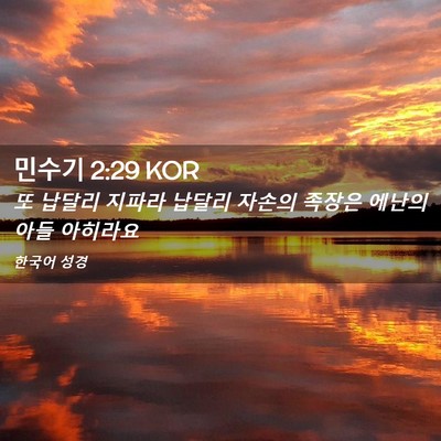 Picture 02 - 민수기 2:29 KOR - 또 납달리 지파라 납달리 자손의 - Bible Verse Picture